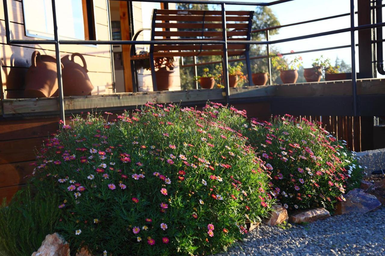 Cabanas Y Spa Costa Patagonia - Piscina Climatizada Pichilemu Luaran gambar